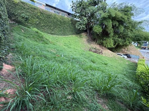 Lote en venta Santander Piedecuesta Cn Terrazas De Menzuli 709 m2 Habitaciones 0 Baños 3 Garajes 4 Precio $670000000