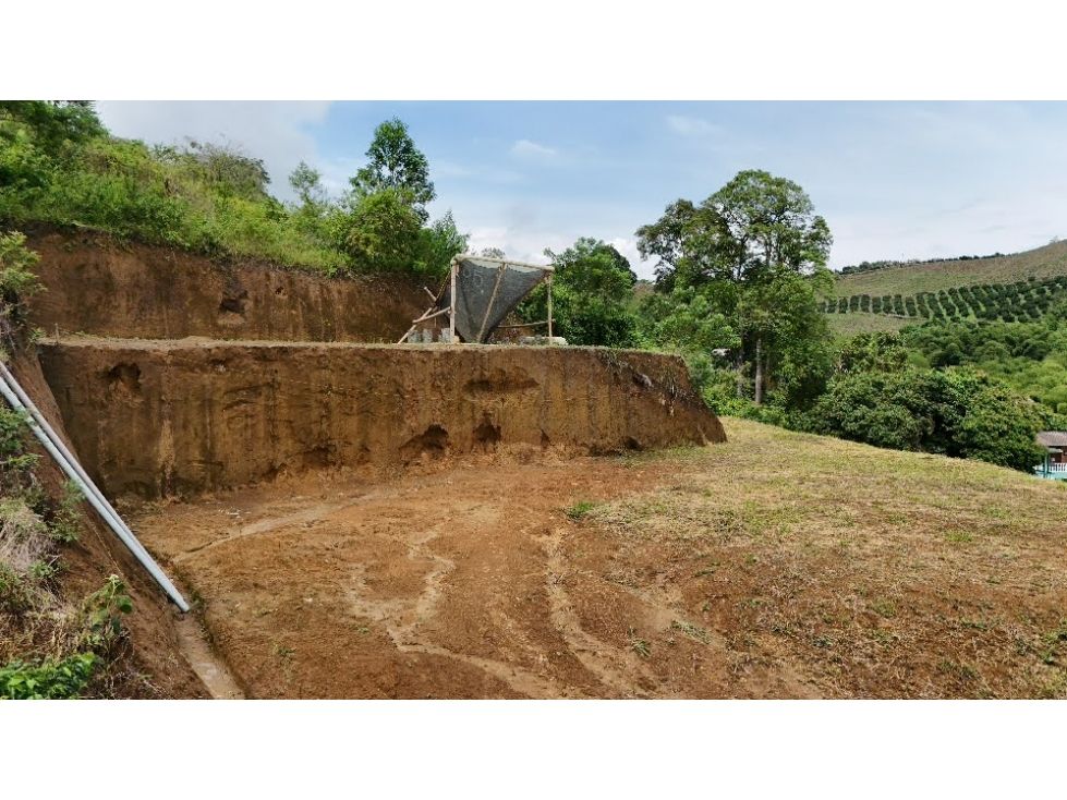 Lote en venta Caldas Palestina Palestina 1475 m2 Habitaciones 0 Baños 0 Garajes 0 Precio $280000000