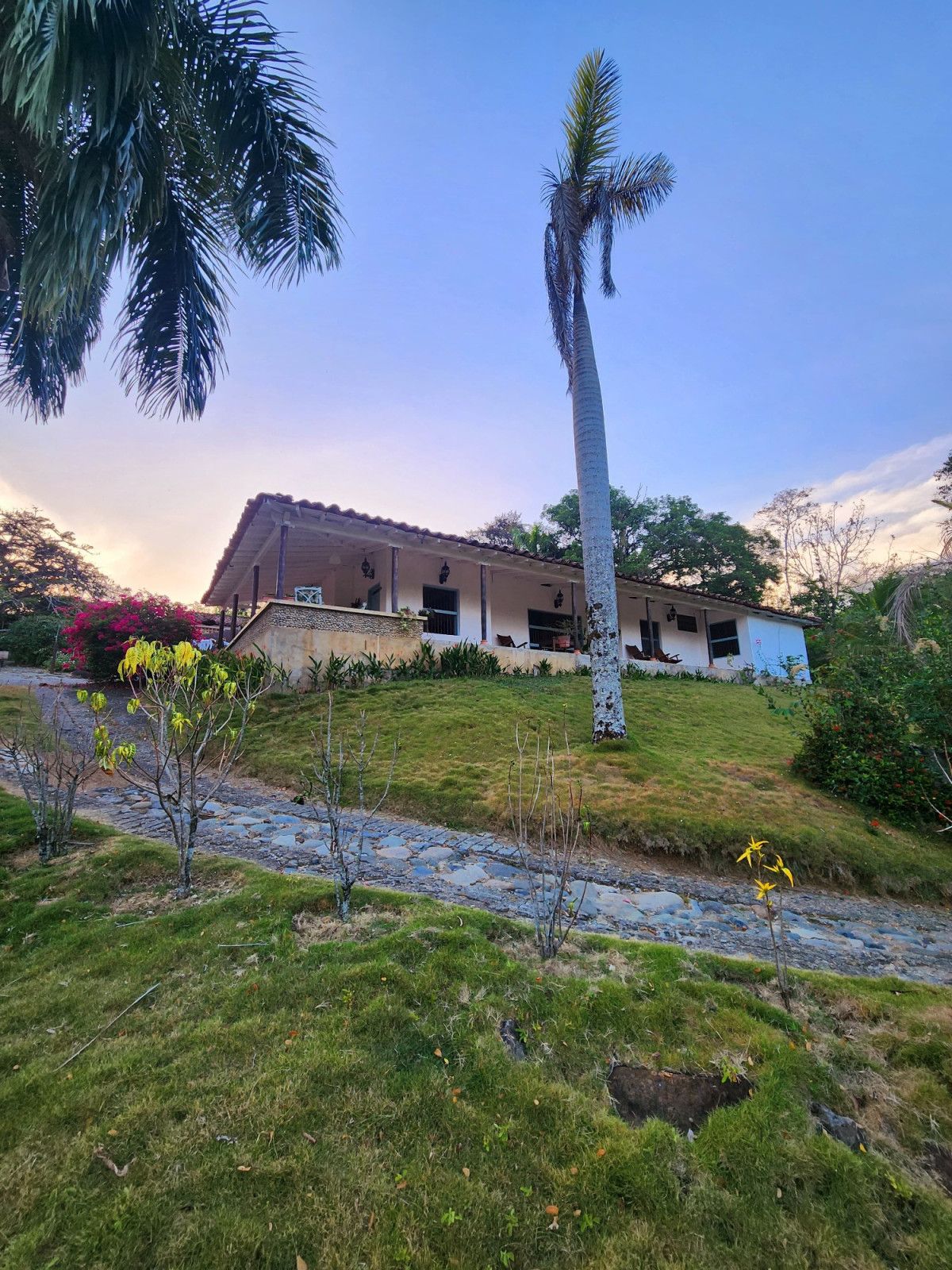 Finca en venta Antioquia Támesis Támesis 180 m2 Habitaciones 4 Baños 3 Garajes 0 Precio $1350000000