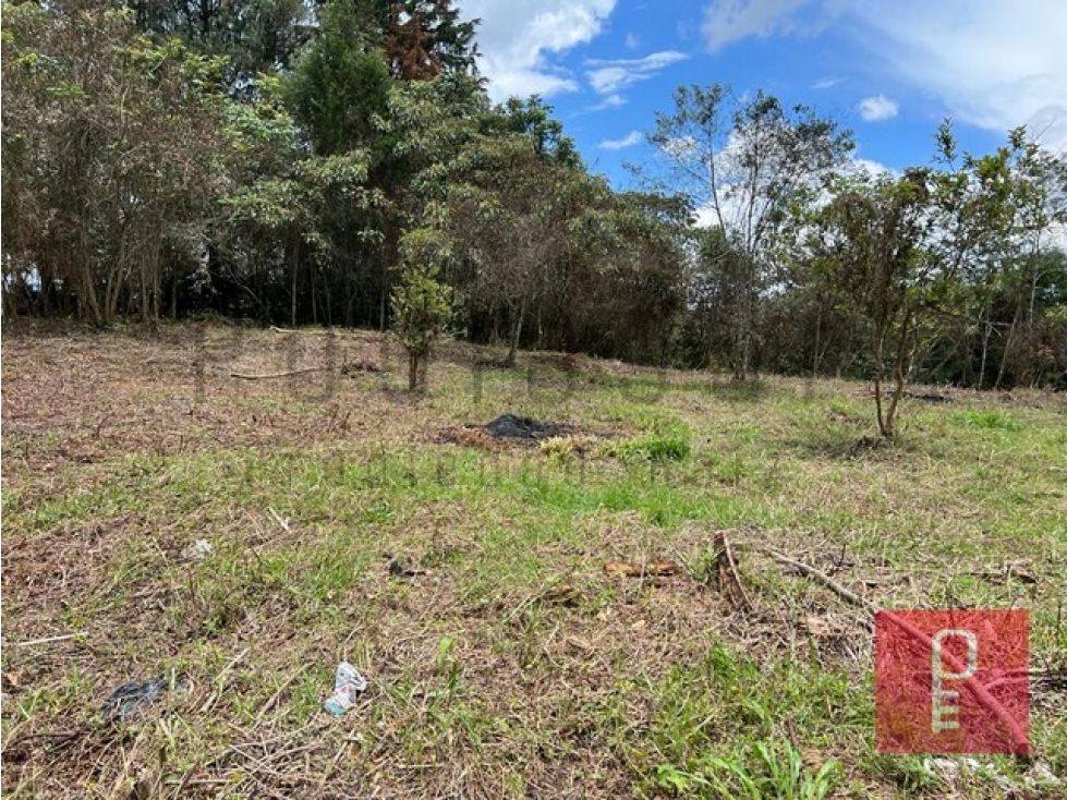 Lote en venta Antioquia Rionegro Belchite 7950 m2 Habitaciones 0 Baños 0 Garajes 0 Precio $795000000