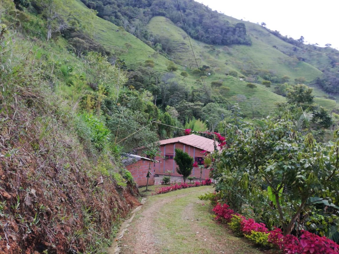 Casa Campestre en venta Antioquia Girardota Zona Deportiva 5960 m2 Habitaciones 6 Baños 5 Garajes 4 Precio $800000000