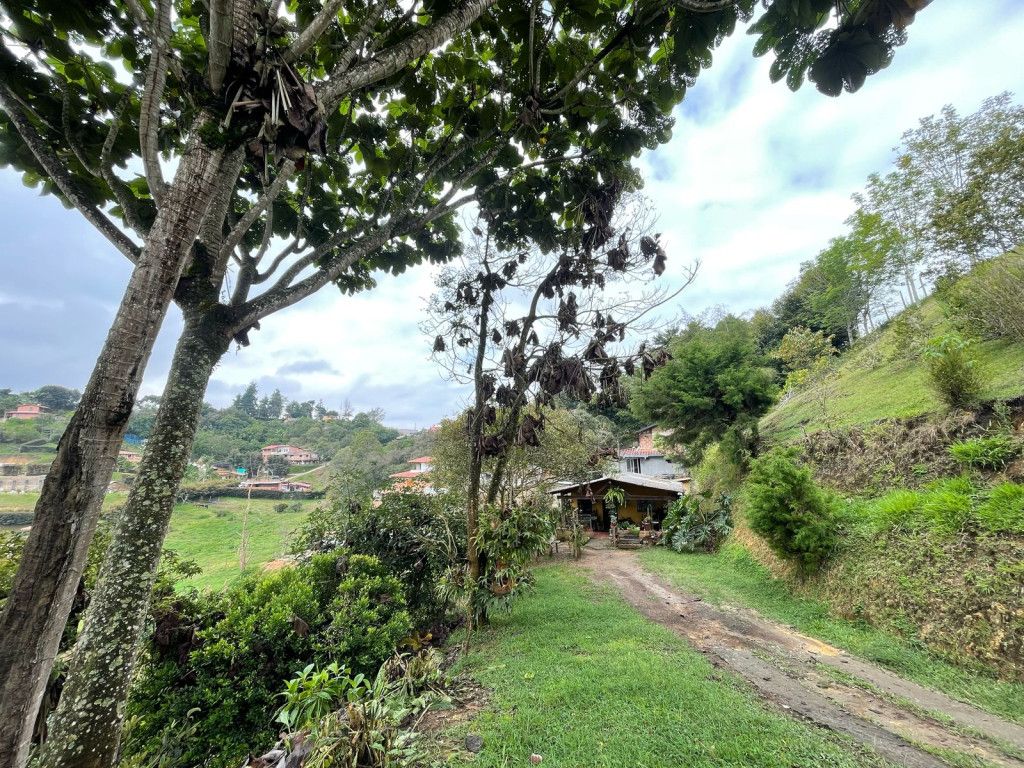 Finca en venta Antioquia Rionegro Rionegro 100 m2 Habitaciones 3 Baños 1 Garajes 0 Precio $650000000