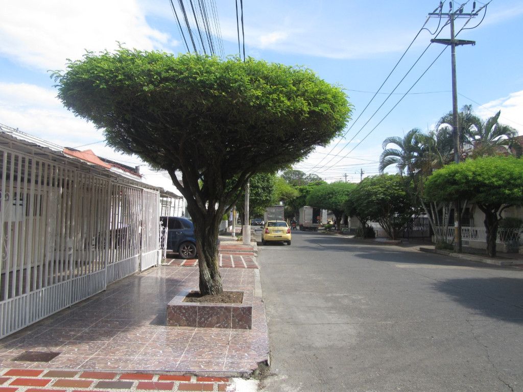 Casa en venta Valle Del Cauca Palmira Recreo 289 m2 Habitaciones 12 Baños 4 Garajes 1 Precio $485000000