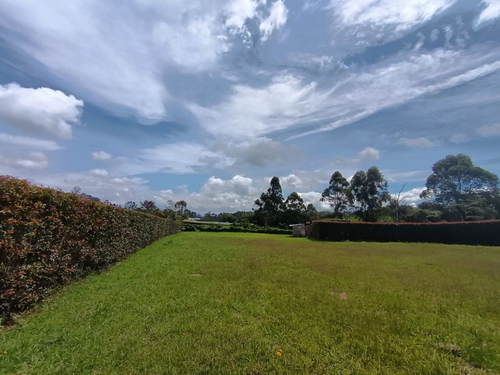 Lote en venta Antioquia El Carmen De Viboral El Carmen De Viboral 2970 m2 Habitaciones 0 Baños 0 Garajes 0 Precio $850000000