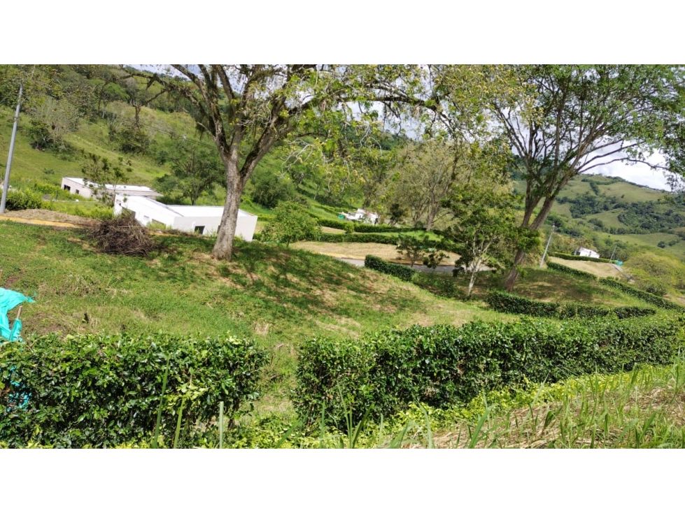 Lote en venta Caldas Manizales Manizales 1074 m2 Habitaciones 0 Baños 0 Garajes 0 Precio $204000000