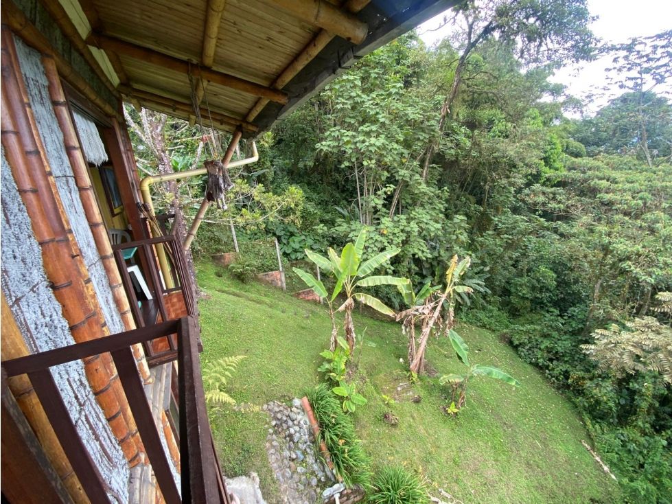 Local en venta Caldas Manizales Manizales 120 m2 Habitaciones 0 Baños 3 Garajes 0 Precio $540000000