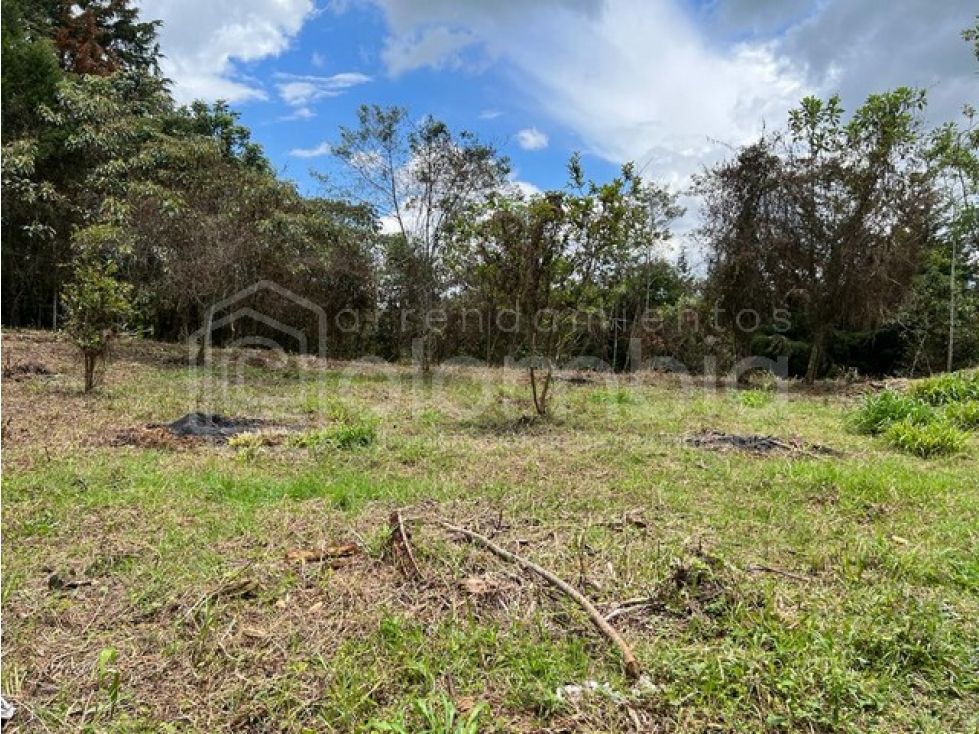 Lote en venta Antioquia Rionegro Rionegro 7950 m2 Habitaciones 0 Baños 0 Garajes 0 Precio $795000000