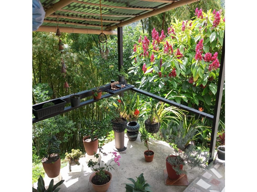 Finca en venta Caldas Manizales Manizales 60 m2 Habitaciones 2 Baños 1 Garajes 0 Precio $200000000