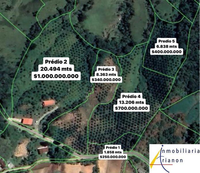 Lote en venta Antioquia Peñol Peñol 13206 m2 Habitaciones 0 Baños 0 Garajes 0 Precio $700000000