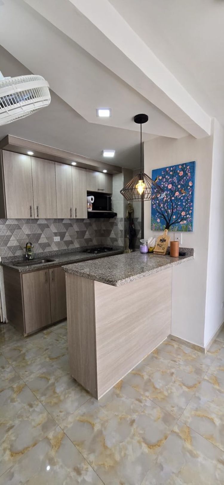 Apartamento en venta Cundinamarca Villeta Chapaima 49 m2 Habitaciones 2 Baños 2 Garajes 0 Precio $260000000