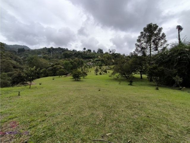 Lote en venta Antioquia Rionegro La Colina 5000 m2 Habitaciones 0 Baños 0 Garajes 0 Precio $1120000000
