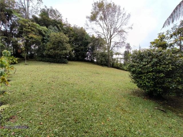 Lote en venta Antioquia Rionegro Villas De San Nicolas 1250 m2 Habitaciones 0 Baños 0 Garajes 0 Precio $670000000