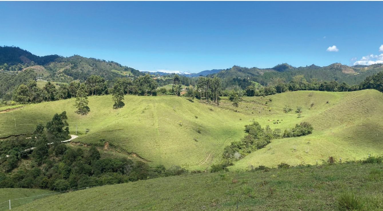 Lote en venta Antioquia El Retiro Cn El Campo 3575 m2 Habitaciones 0 Baños 0 Garajes 0 Precio $650000000