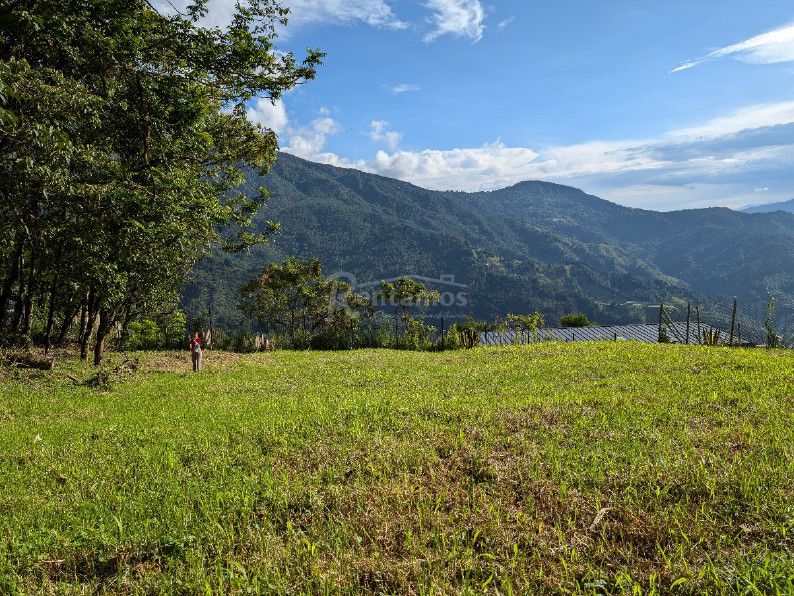 Lote en venta Antioquia Envigado Asd 2257 m2 Habitaciones 0 Baños 0 Garajes 0 Precio $980000000