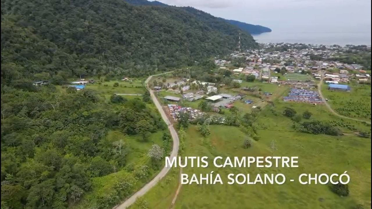 Lote en venta Chocó Bahía Solano Las Conchitas 128 m2 Habitaciones 0 Baños 0 Garajes 0 Precio $36000000