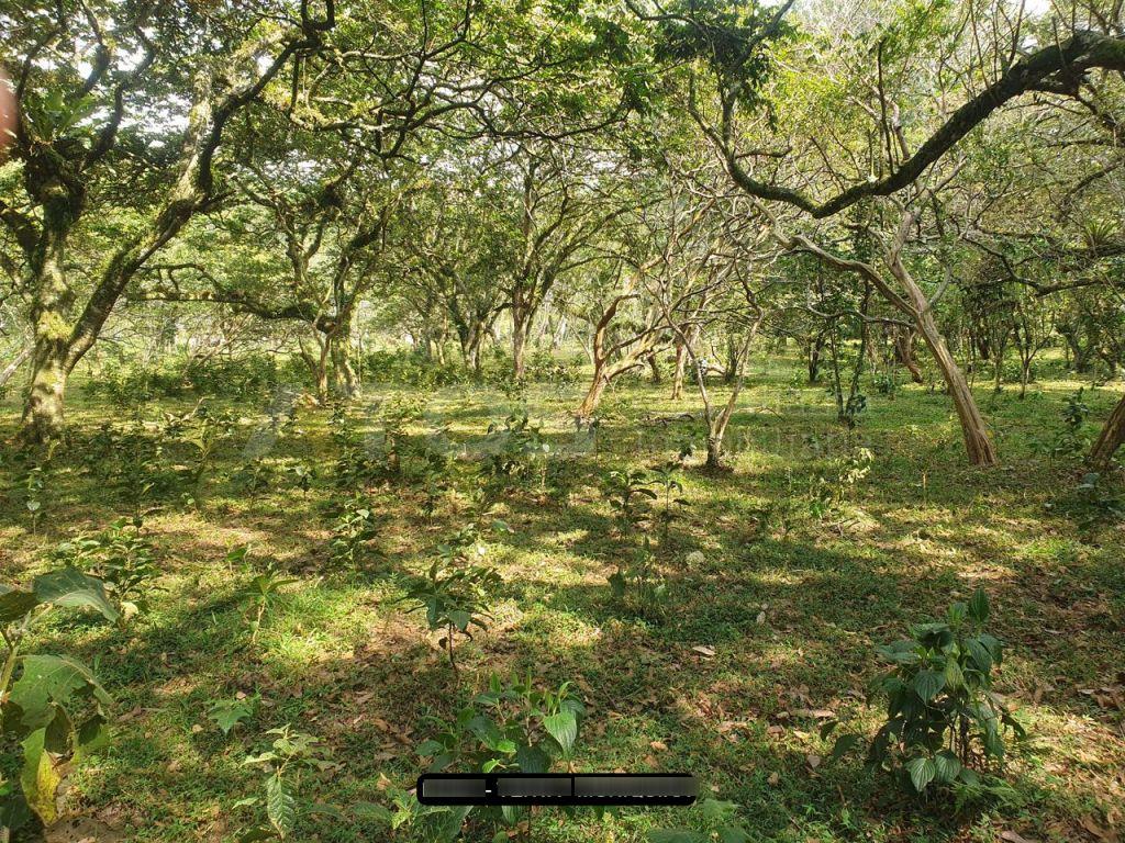 Finca en venta Boyacá Moniquirá Moniquira 0 m2 Habitaciones 0 Baños 0 Garajes 0 Precio $390000000