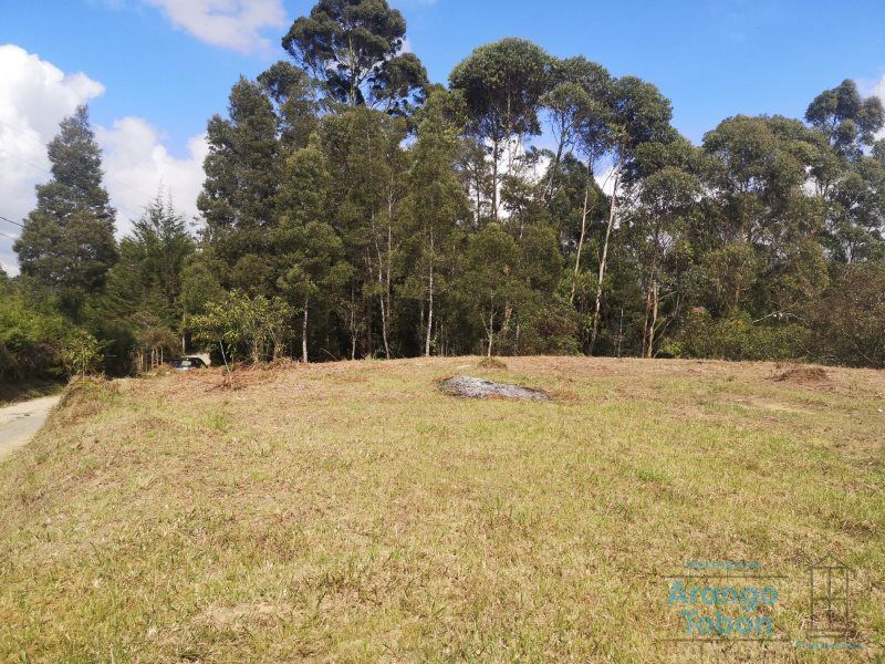 Lote en venta Antioquia Rionegro Centro 10965 m2 Habitaciones 0 Baños 0 Garajes 0 Precio $1096500000