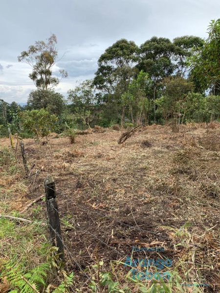 Lote en venta Antioquia Rionegro Centro 9258 m2 Habitaciones 0 Baños 0 Garajes 0 Precio $925800000