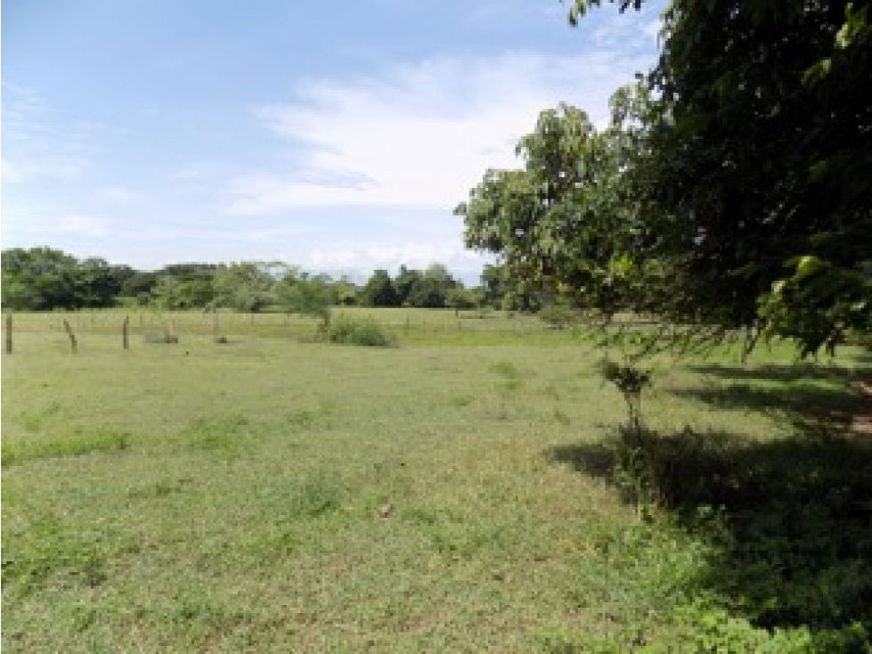 Lote en venta Tolima Purificación Purificación 11700 m2 Habitaciones 0 Baños 1 Garajes 0 Precio $1195000000