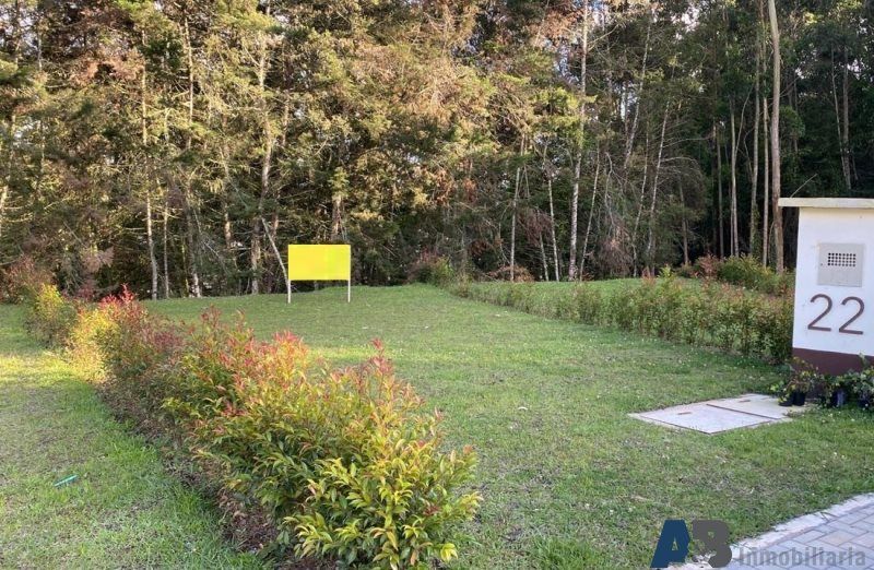 Lote en venta Antioquia Rionegro Rionegro 178 m2 Habitaciones 0 Baños 0 Garajes 0 Precio $300000000