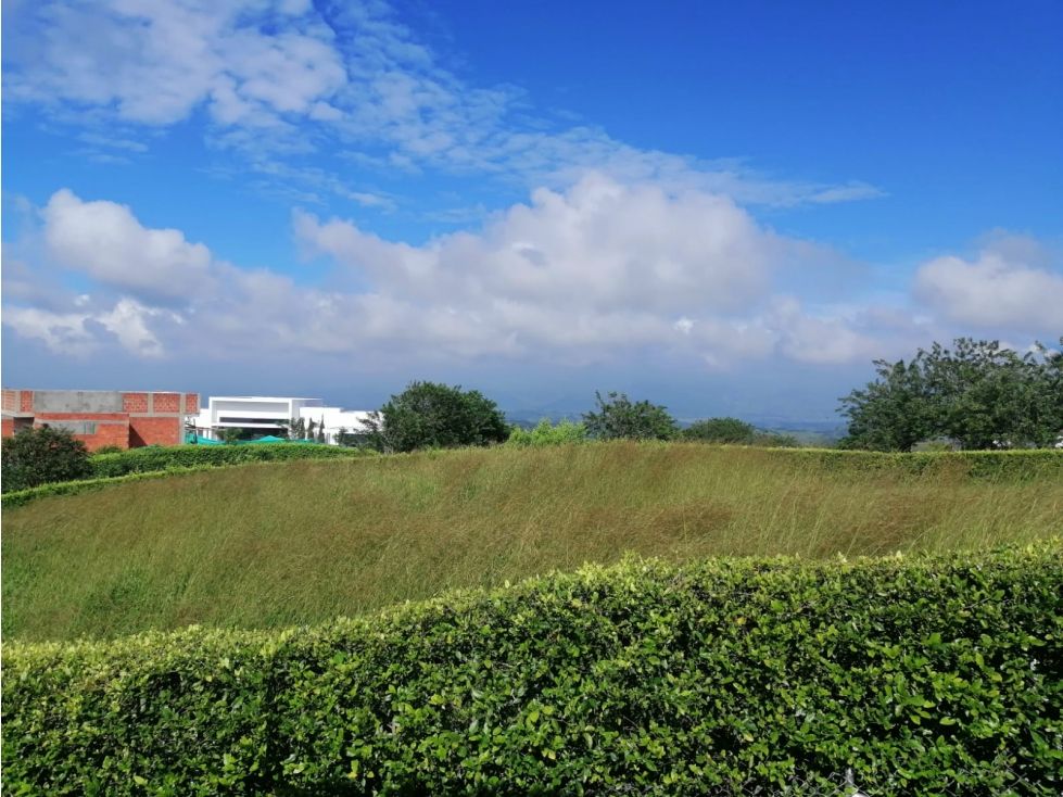 Lote en venta Risaralda Pereira Pereira 1962 m2 Habitaciones 0 Baños 0 Garajes 0 Precio $460000000