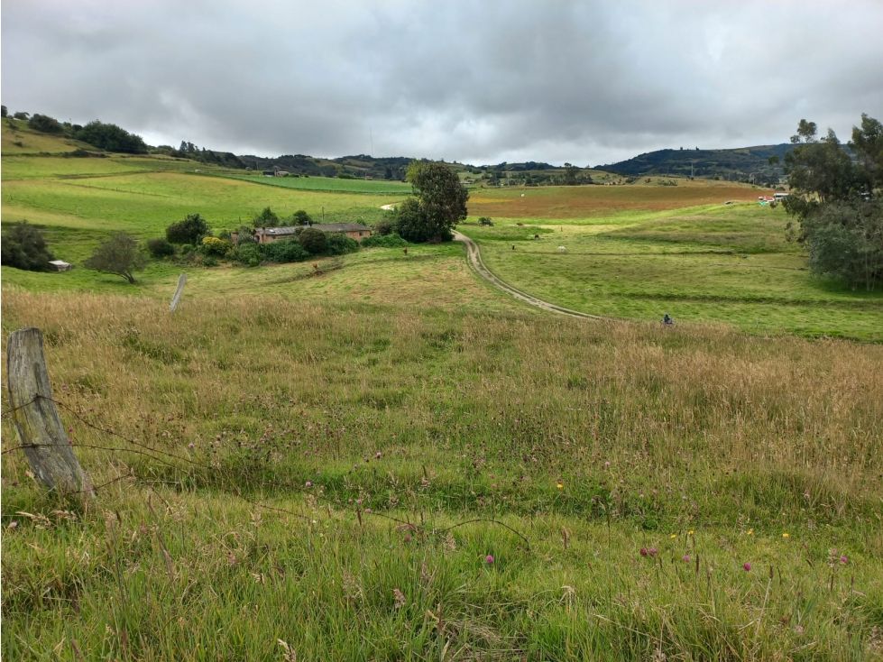 Finca en venta Boyacá Motavita Motavita 150 m2 Habitaciones 3 Baños 1 Garajes 2 Precio $290000000