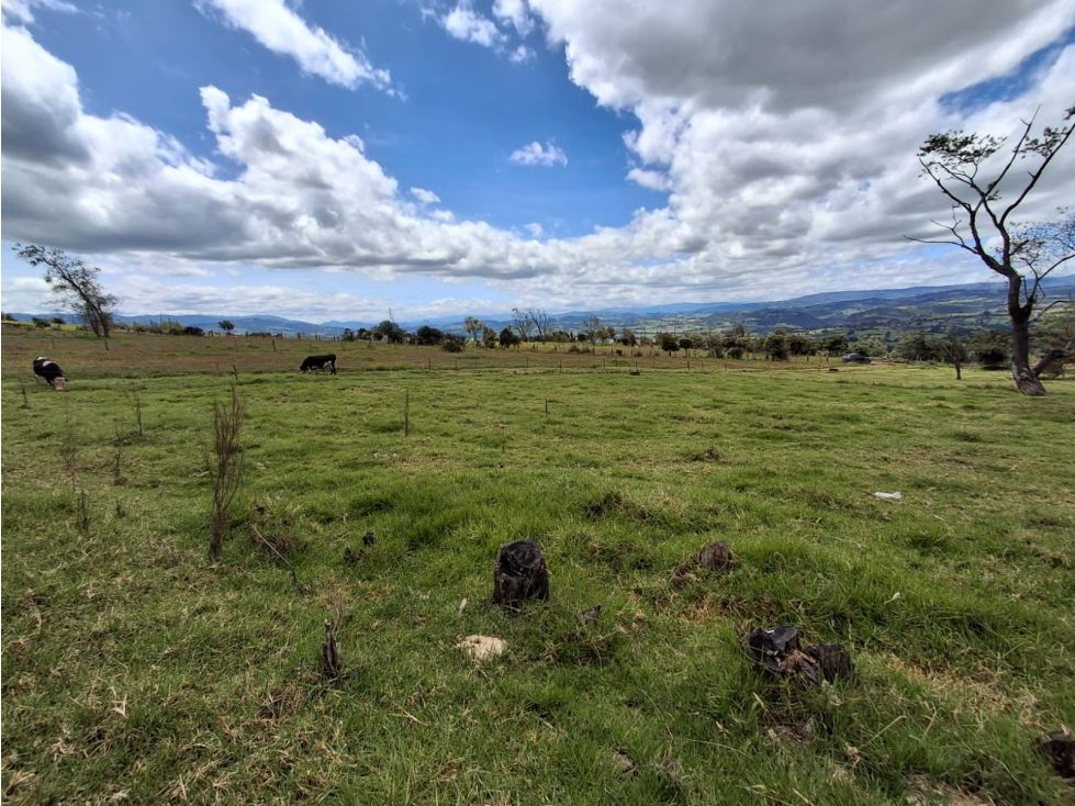Lote en venta Boyacá Cómbita Cómbita 1627 m2 Habitaciones 0 Baños 0 Garajes 0 Precio $95000000