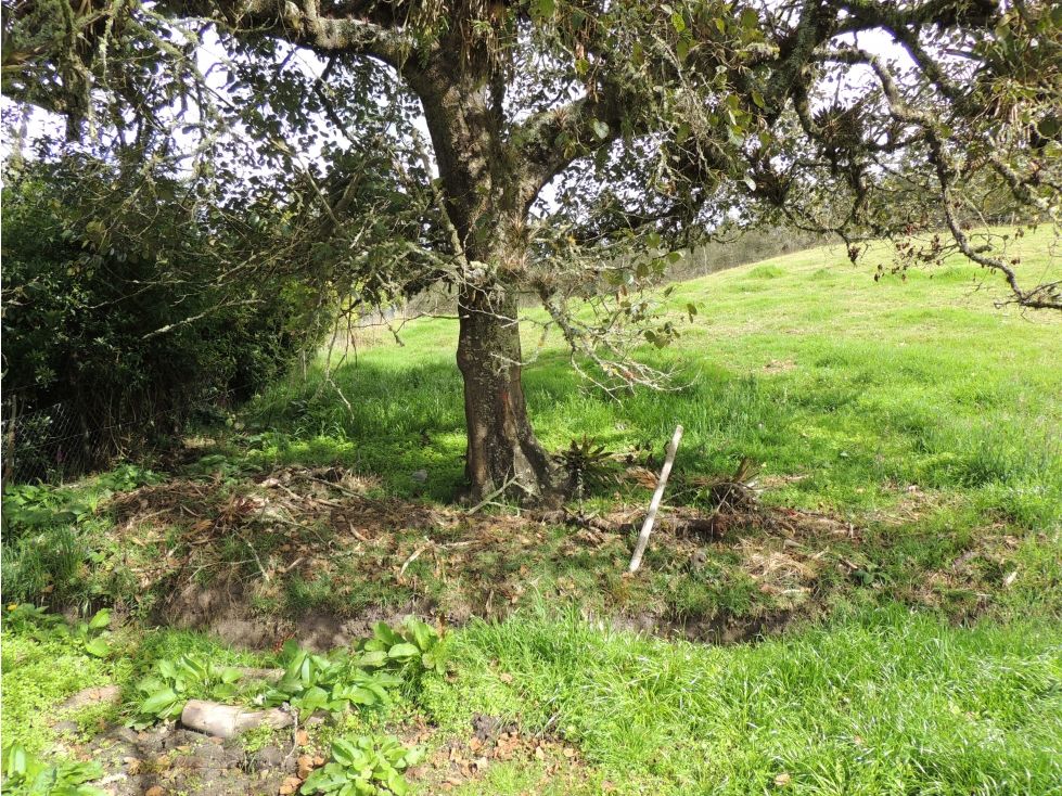 Lote en venta Cundinamarca La Calera La Calera 10000 m2 Habitaciones 0 Baños 0 Garajes 0 Precio $630000000