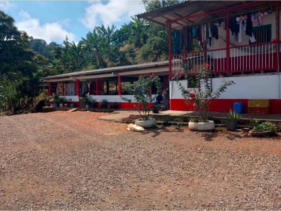 Finca en venta Risaralda Pereira Pereira 35500 m2 Habitaciones 4 Baños 2 Garajes 5 Precio $1800000000