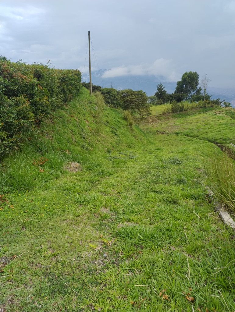 Lote en venta Antioquia Bello La Navarra 2403 m2 Habitaciones 0 Baños 0 Garajes 0 Precio $600000000