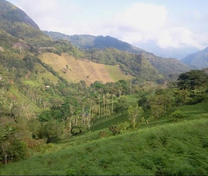 Finca en venta Boyacá Muzo Muzo 1 m2 Habitaciones 0 Baños 0 Garajes 0 Precio $700000000
