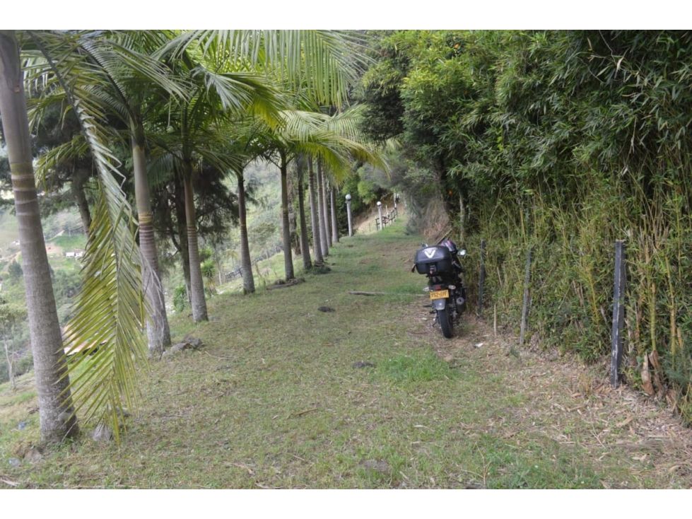 Lote en venta Antioquia Guarne Santo Tomás 2500 m2 Habitaciones 0 Baños 0 Garajes 0 Precio $250000000