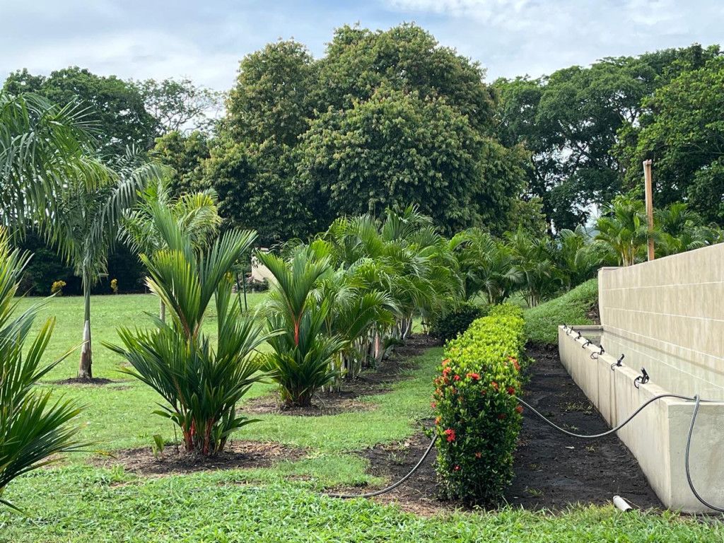 Lote en venta Tolima Mariquita Mariquita 0 m2 Habitaciones 0 Baños 0 Garajes 0 Precio $300000000