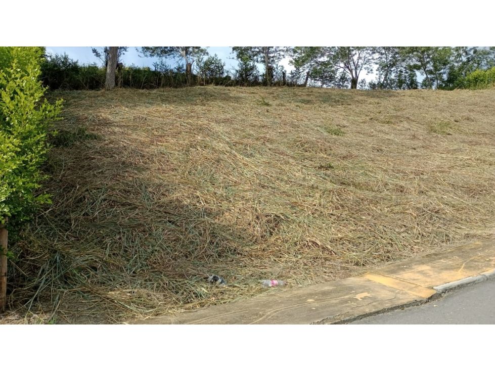 Lote en venta Caldas Neira Neira 1027 m2 Habitaciones 0 Baños 0 Garajes 0 Precio $150000000