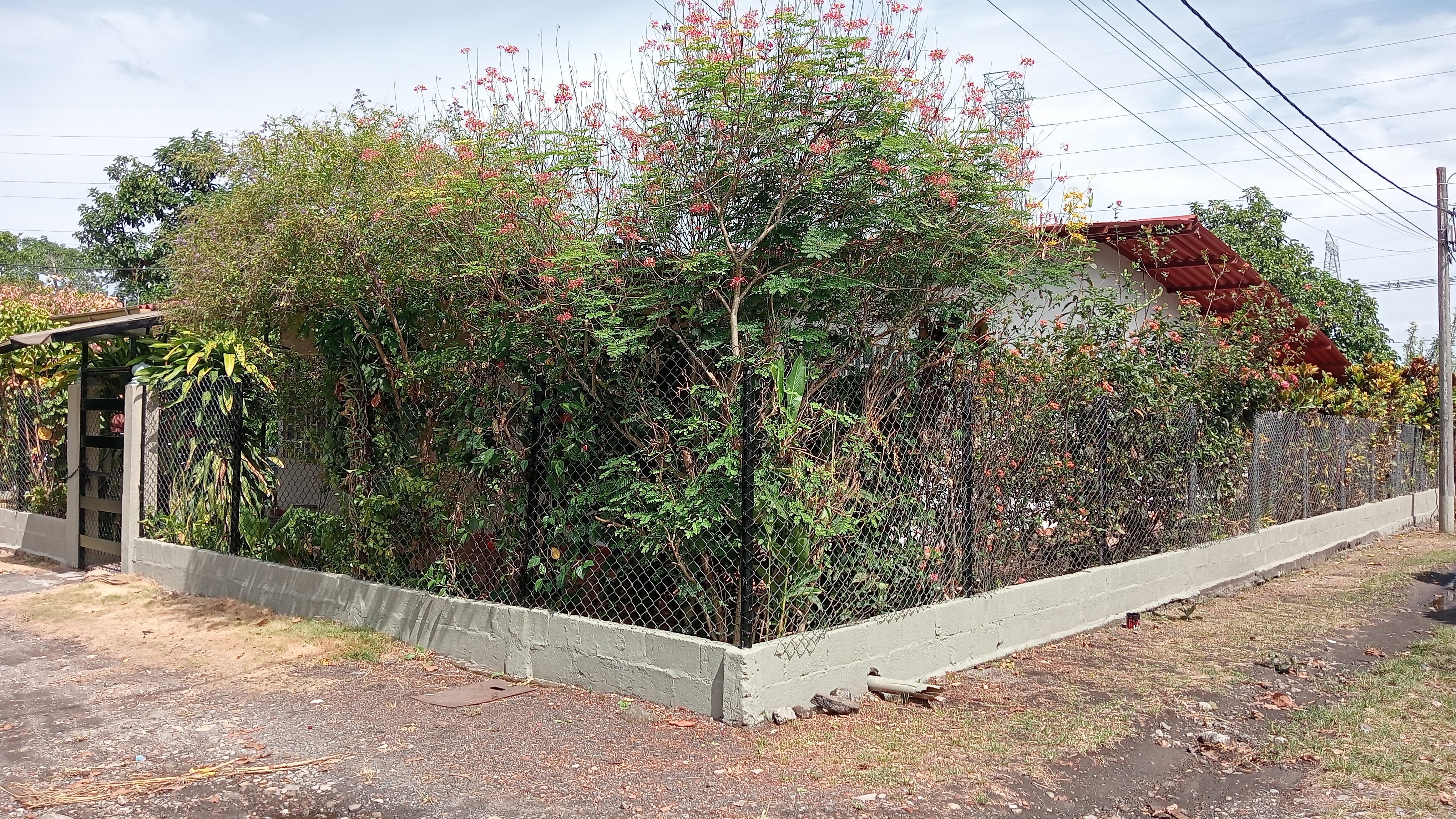 Casa en venta Tolima Mariquita La Ermita 150 m2 Habitaciones 3 Baños 3 Garajes 3 Precio $260000000