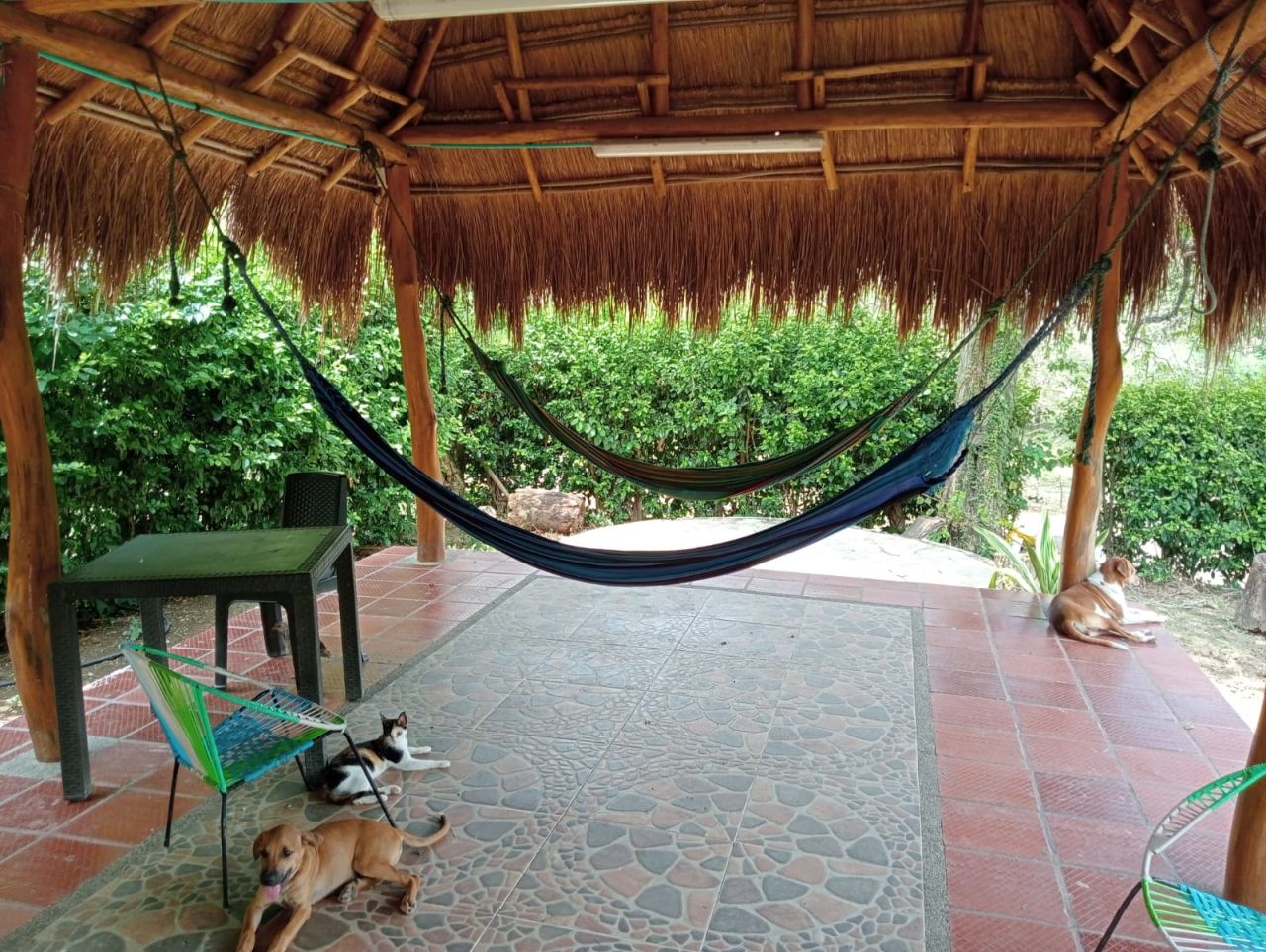 Finca en venta Atlántico Baranoa Baranoa 100 m2 Habitaciones 3 Baños 2 Garajes 3 Precio $400000000