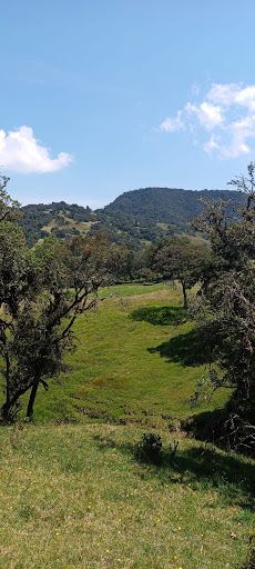 Lote en venta Cundinamarca La Calera La Calera 25600 m2 Habitaciones 0 Baños 0 Garajes 0 Precio $1200000000