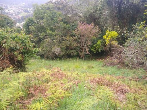 Lote en venta Cundinamarca La Calera La Calera 5652 m2 Habitaciones 0 Baños 0 Garajes 0 Precio $520000000