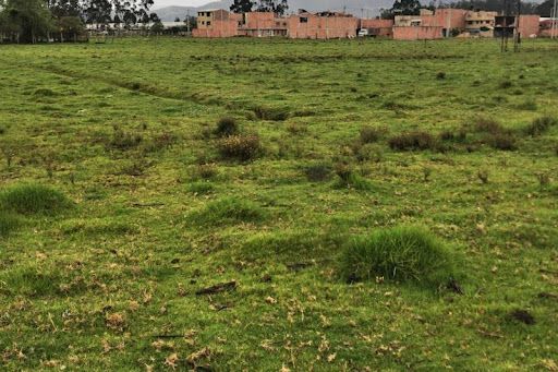 Lote en venta Cundinamarca Tocancipá Tocancipá 1396 m2 Habitaciones 0 Baños 0 Garajes 0 Precio $1047262500
