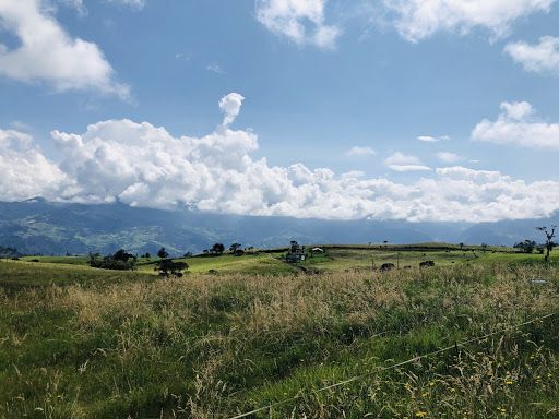 Finca en venta Cundinamarca Choachí Choachi 120 m2 Habitaciones 2 Baños 1 Garajes 0 Precio $997000000