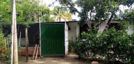 Finca en venta Tolima Lérida Lérida 10290 m2 Habitaciones 0 Baños 0 Garajes 0 Precio $3400000000