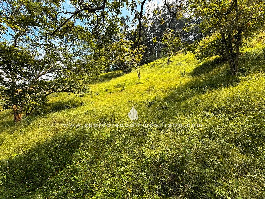 Lote en venta Antioquia Envigado Envigado 0 m2 Habitaciones 0 Baños 0 Garajes 0 Precio $1600000000
