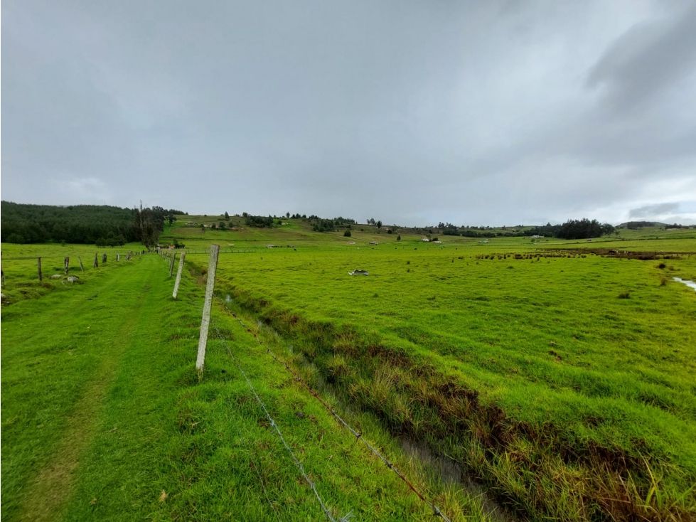 Lote en venta Boyacá Oicatá Oicatá 1600 m2 Habitaciones 0 Baños 0 Garajes 0 Precio $56000000
