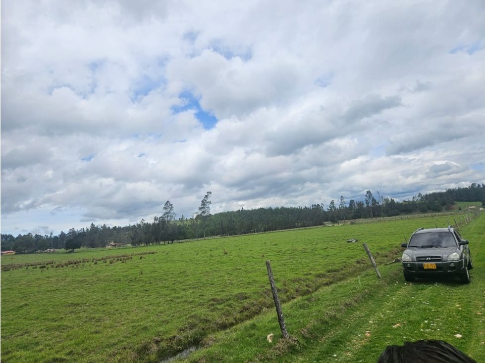 Lote en venta Boyacá Oicatá Oicatá 4400 m2 Habitaciones 0 Baños 0 Garajes 0 Precio $148000000