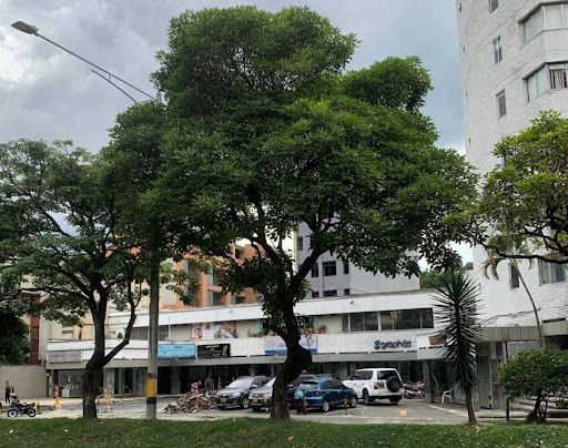 Local en arriendo Antioquia Medellín Manila 182 m2 Habitaciones 0 Baños 2 Garajes 2 Precio $11000000