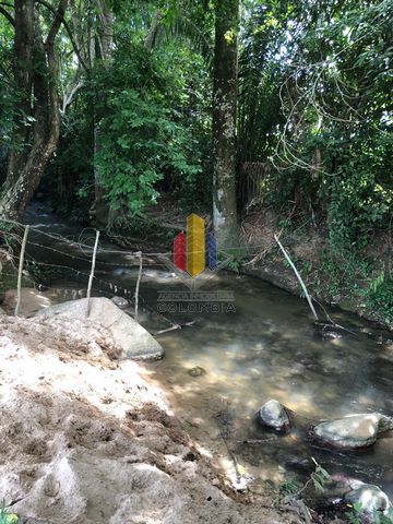 Finca en venta Tolima Valle De San Juan Valle De San Juan 24268 m2 Habitaciones 0 Baños 0 Garajes 0 Precio $1600000000