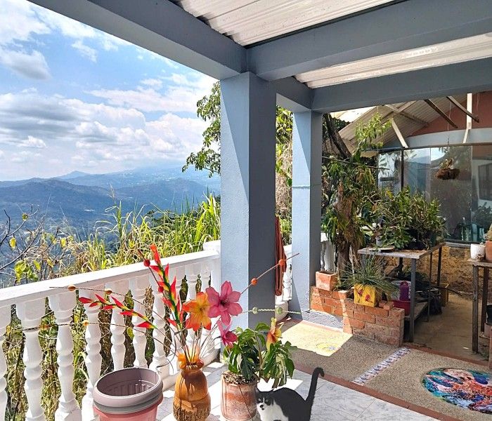 Casa en venta Cundinamarca La Mesa El Centro 285 m2 Habitaciones 6 Baños 4 Garajes 2 Precio $850000000