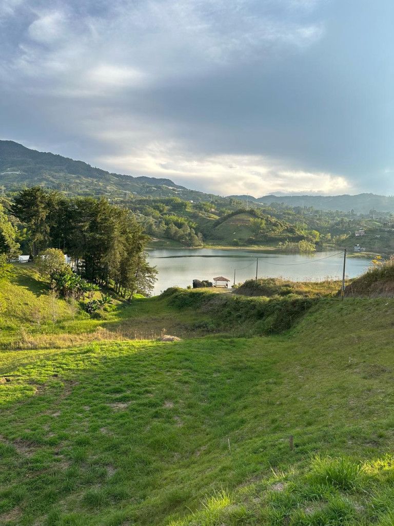 Lote en venta Antioquia Peñol Peñol 1 m2 Habitaciones 0 Baños 0 Garajes 0 Precio $800000000