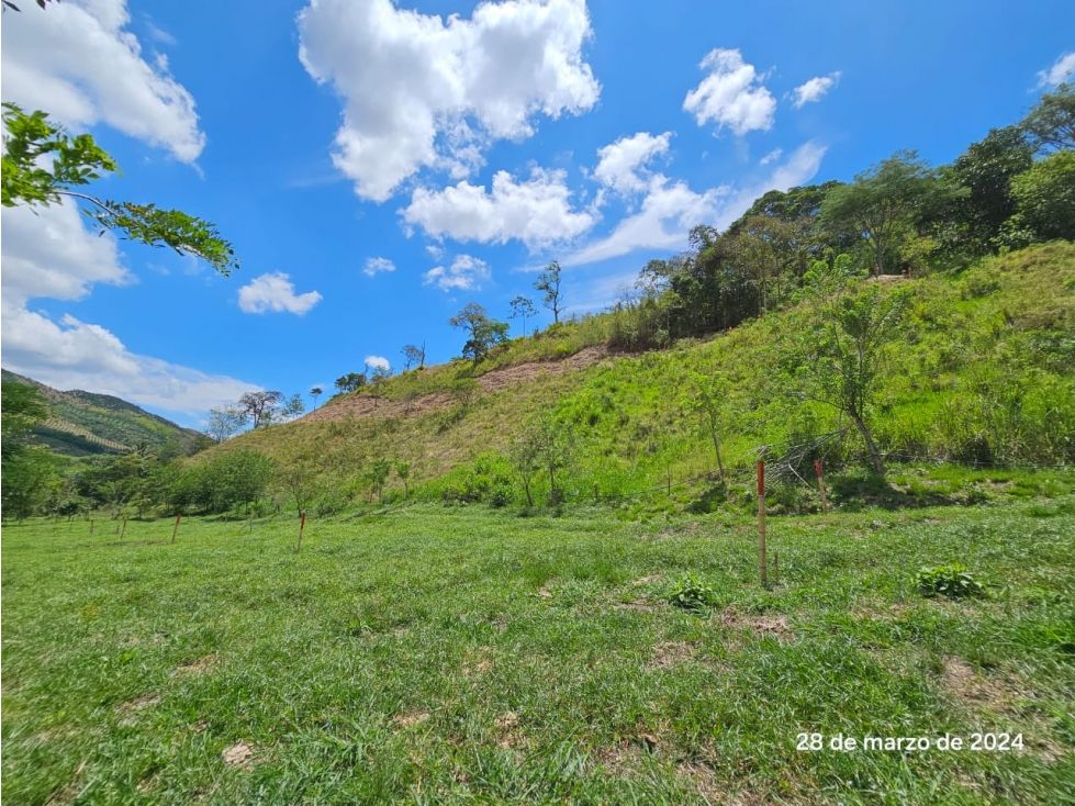 Lote en venta Caldas Manizales Manizales 950 m2 Habitaciones 0 Baños 0 Garajes 0 Precio $152000000