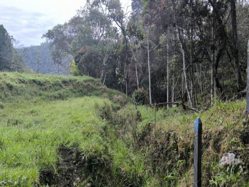 Lote en venta Antioquia Medellín Medellín 10804 m2 Habitaciones 0 Baños 0 Garajes 0 Precio $972370000